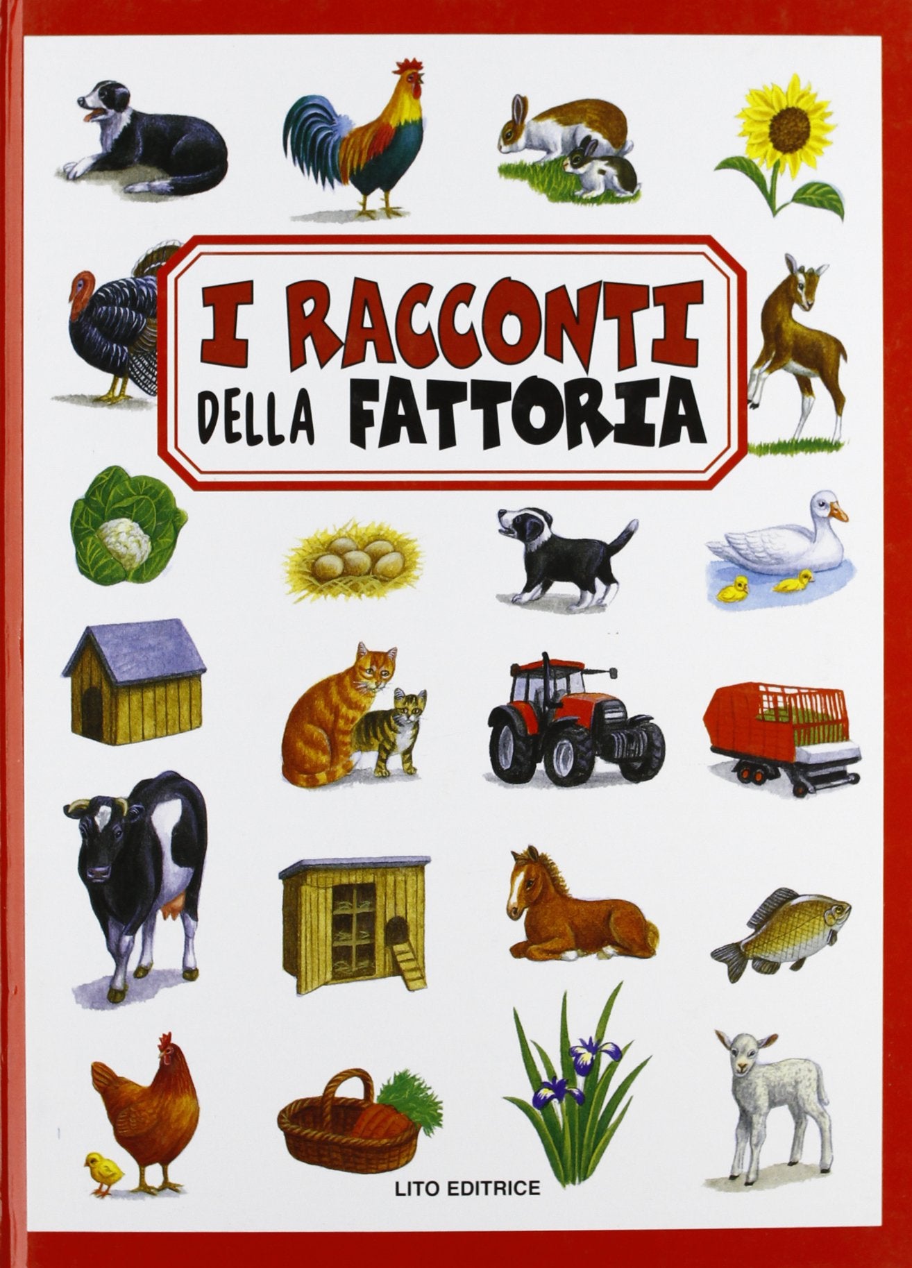 I racconti della fattoria. Ediz. illustrata book