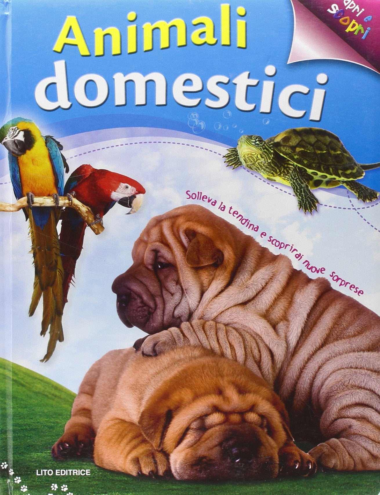 Animali domestici. Apri e scopri. Ediz. illustrata book