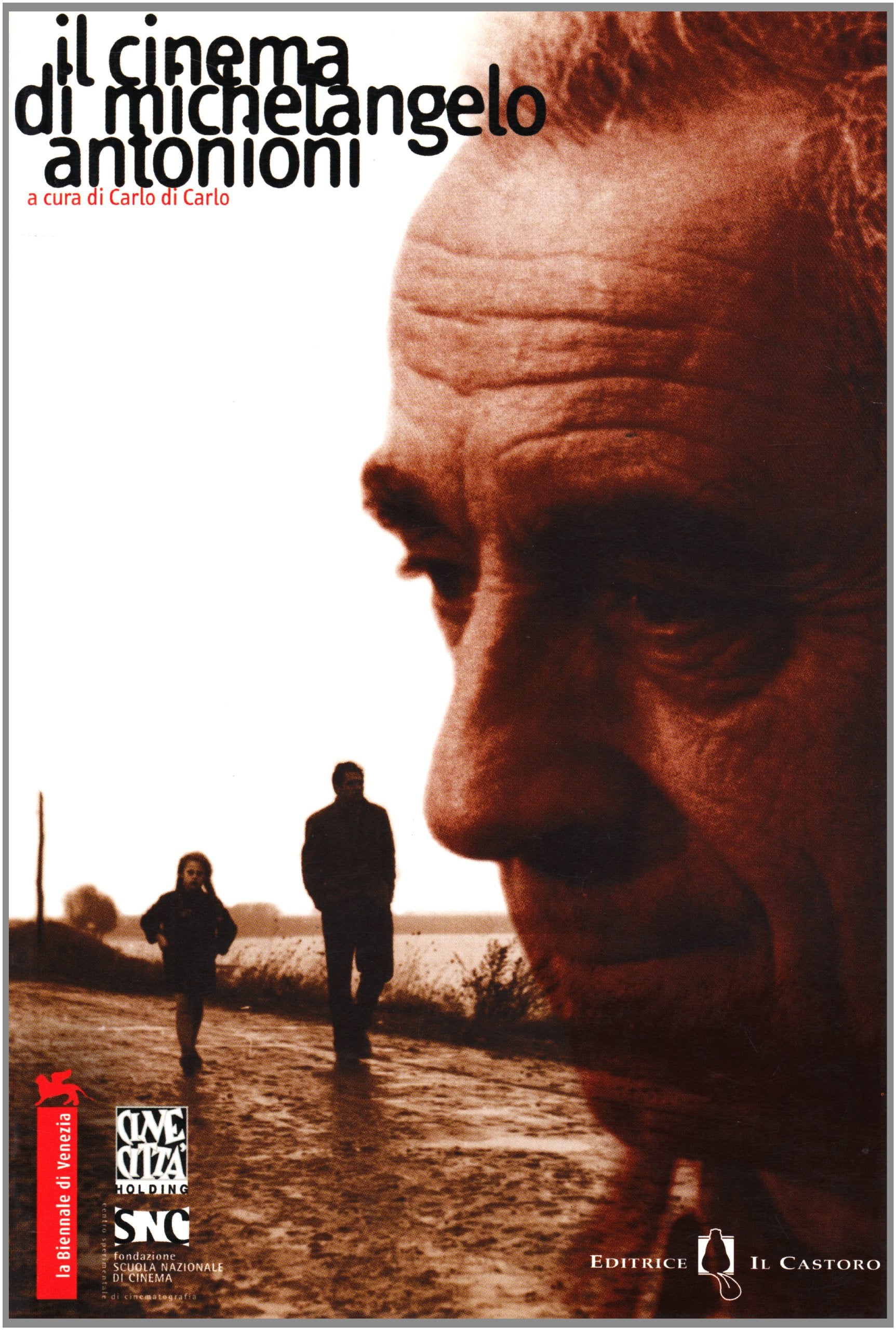 Il cinema di Michelangelo Antonioni Social Sciences