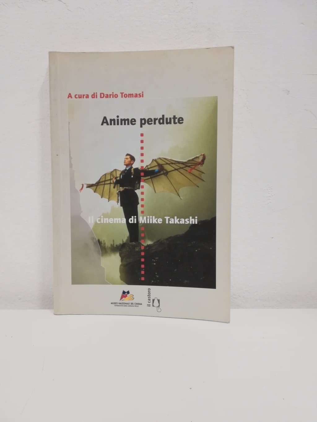 Anime perdute. Il cinema di Miike Takashi book