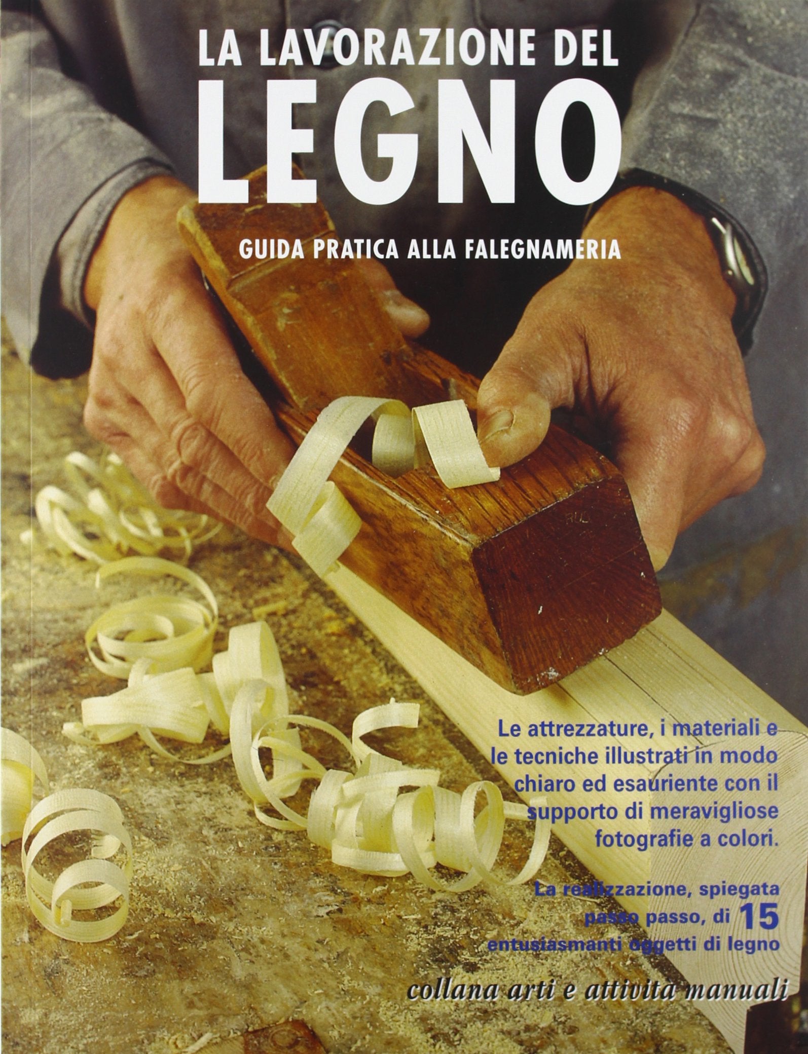 La lavorazione del legno (Legno attività artistiche) Hobbies & Crafts