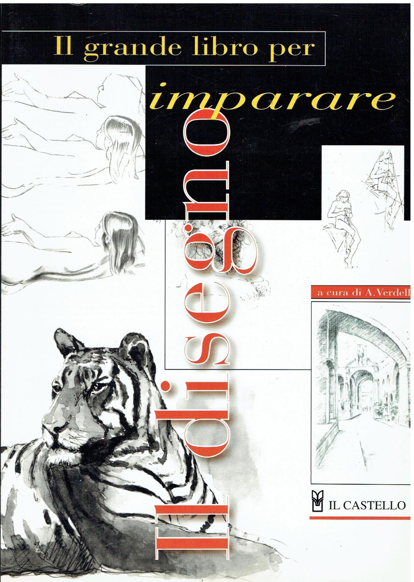 Il grande libro per imparare il disegno book