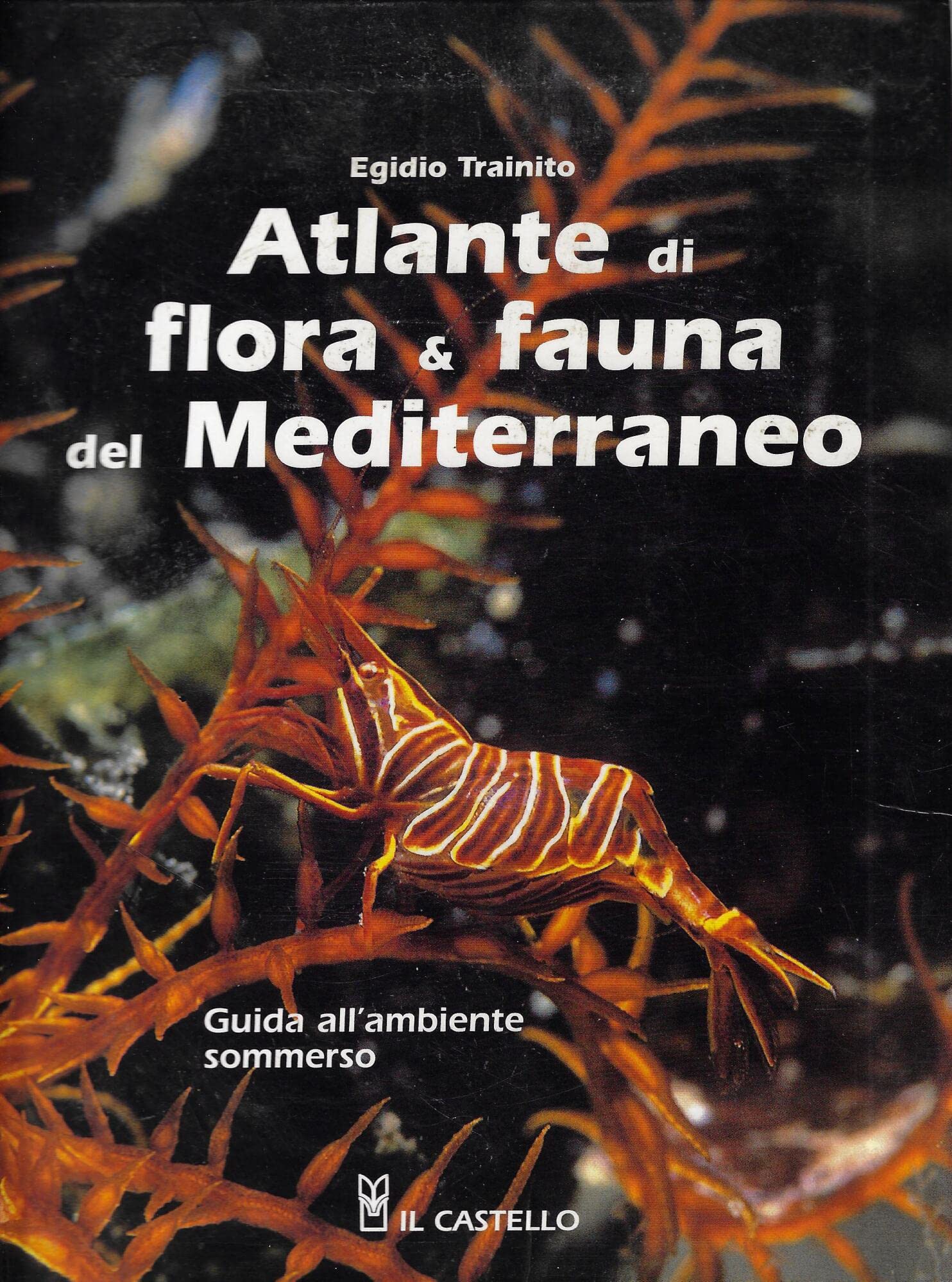 Atlante di flora & fauna del Mediterraneo (Animali) Leisure, Home & Garden