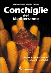 Conchiglie del Mediterraneo Leisure, Home & Garden