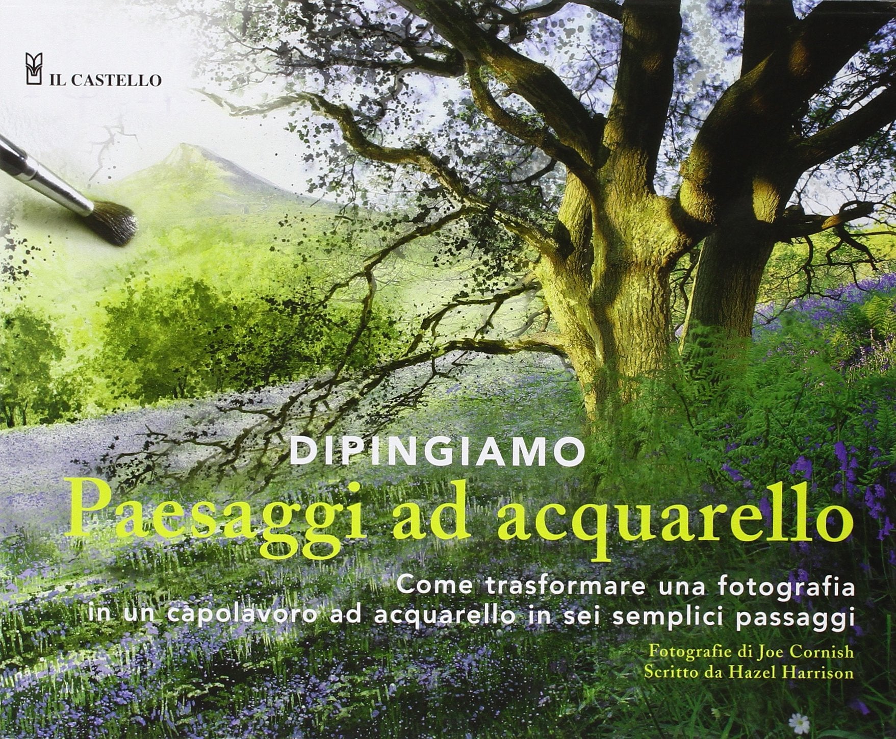 Dipingiamo paesaggi ad acquarello (Disegno e tecniche pittoriche) Film, Art & Culture
