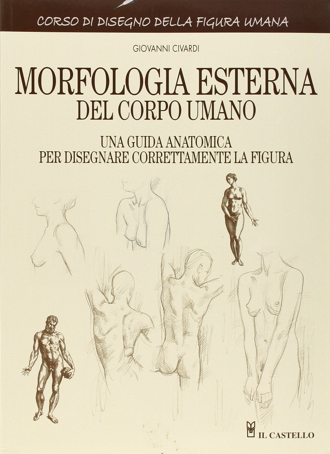 Morfologia esterna del corpo umano. Ediz. illustrata book