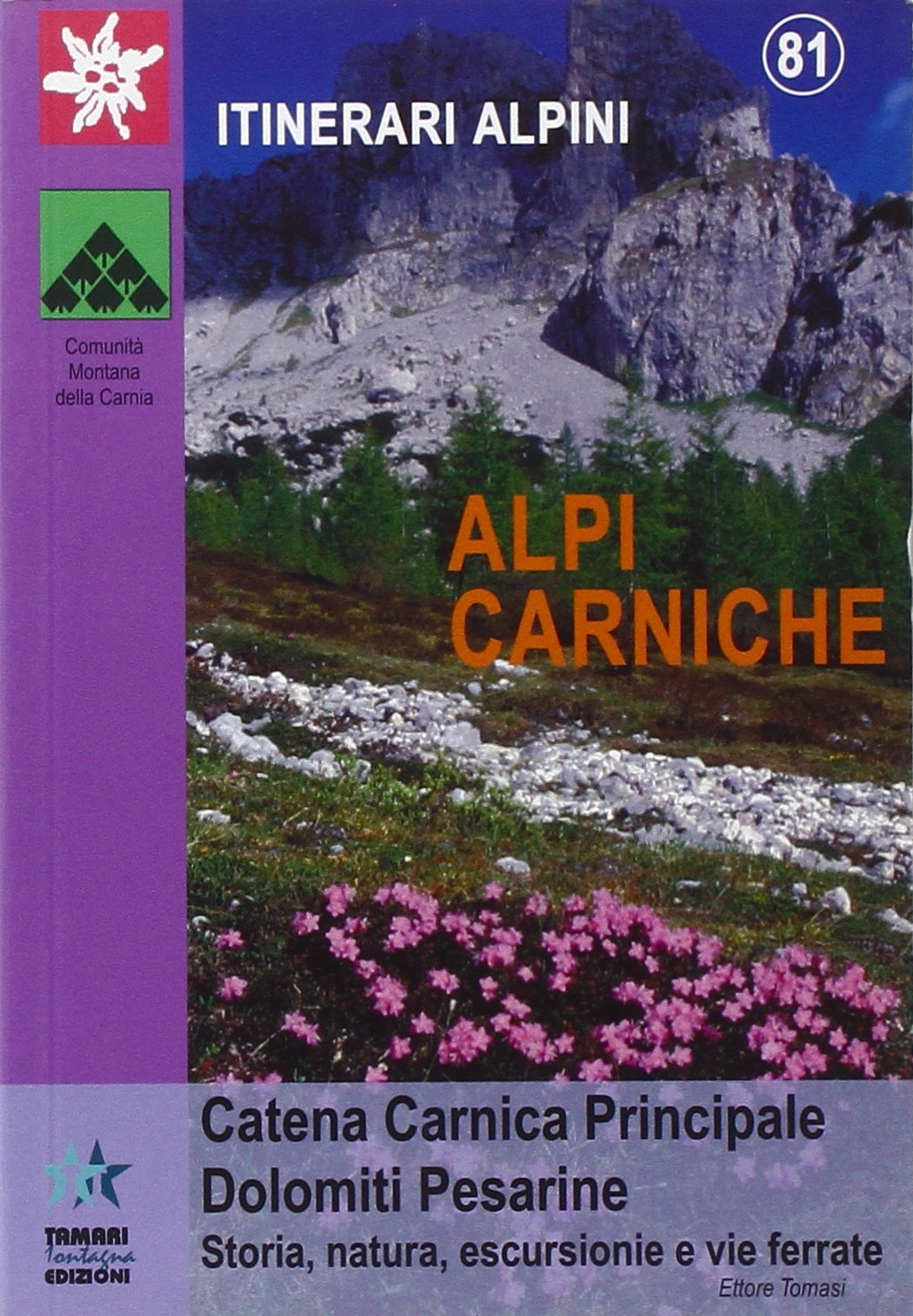 Alpi Carniche. Catena Carnica principale: Dolomiti pesarine. Storia, natura, escursioni e vie ferrate (Itinerari alpini) Leisure & Fun