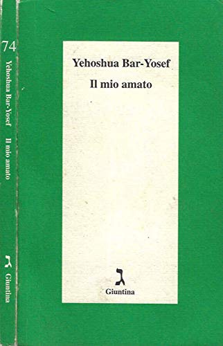 Il mio amato (Schulim Vogelmann) Contemporary literature