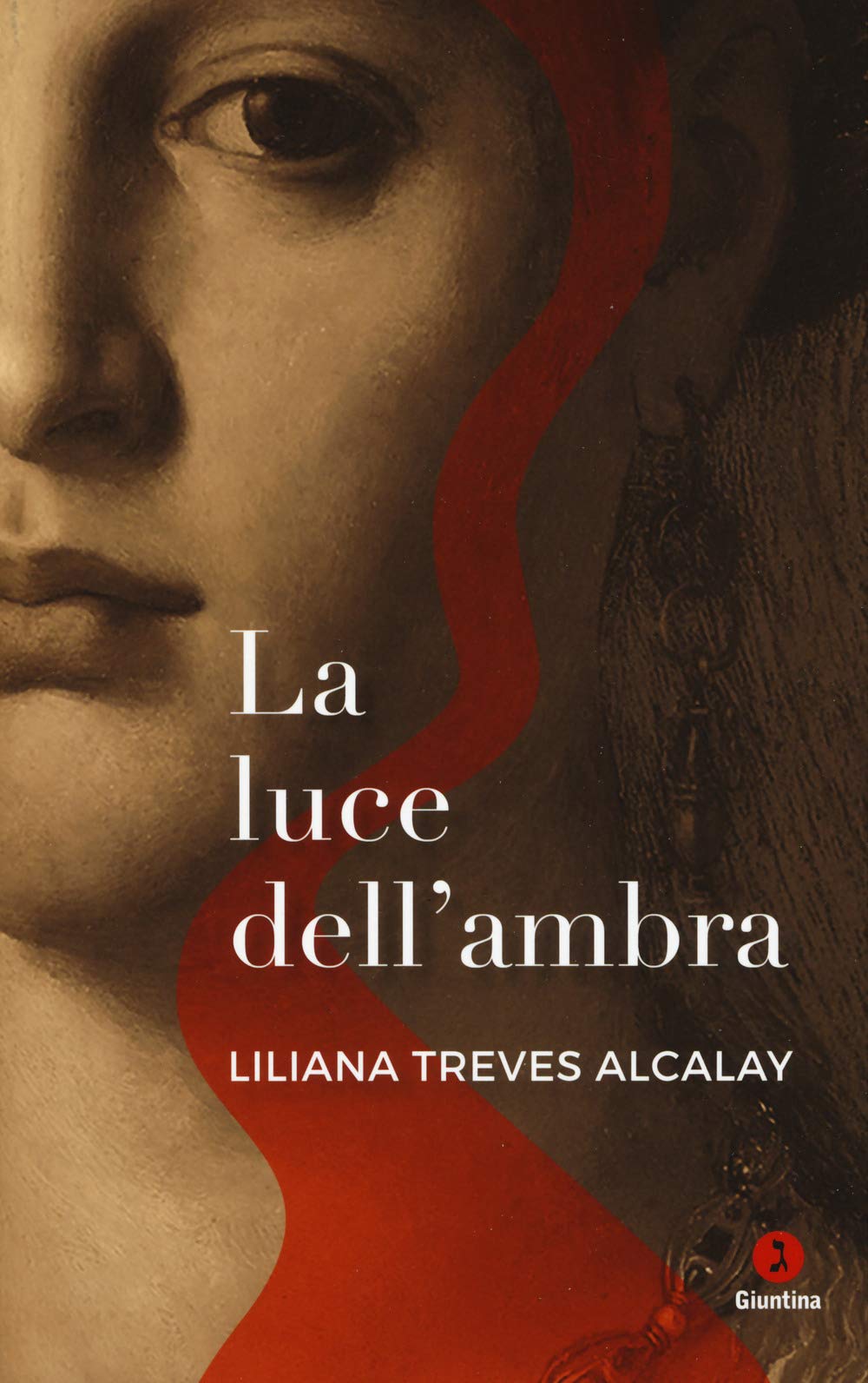 La luce dell'ambra book