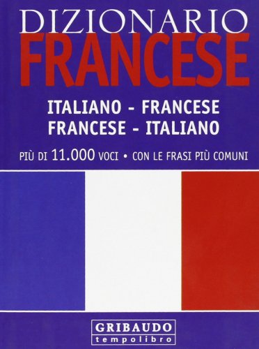 Dizionario francese. Italiano-francese, francese-italiano Foreign Languages ​​& Dictionaries