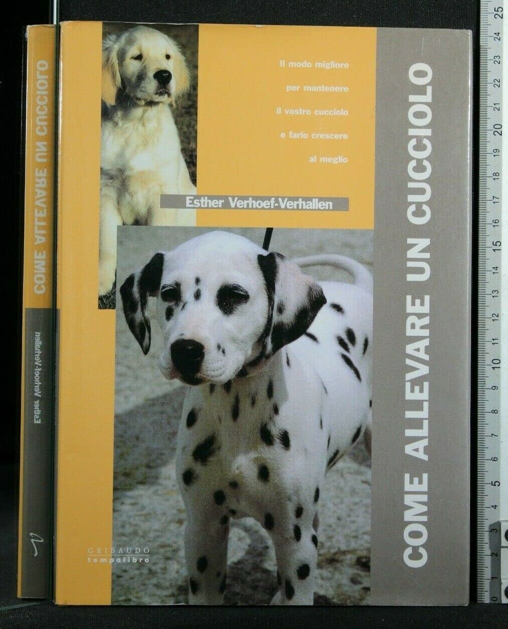 Come allevare un cucciolo. Ediz. illustrata Pets