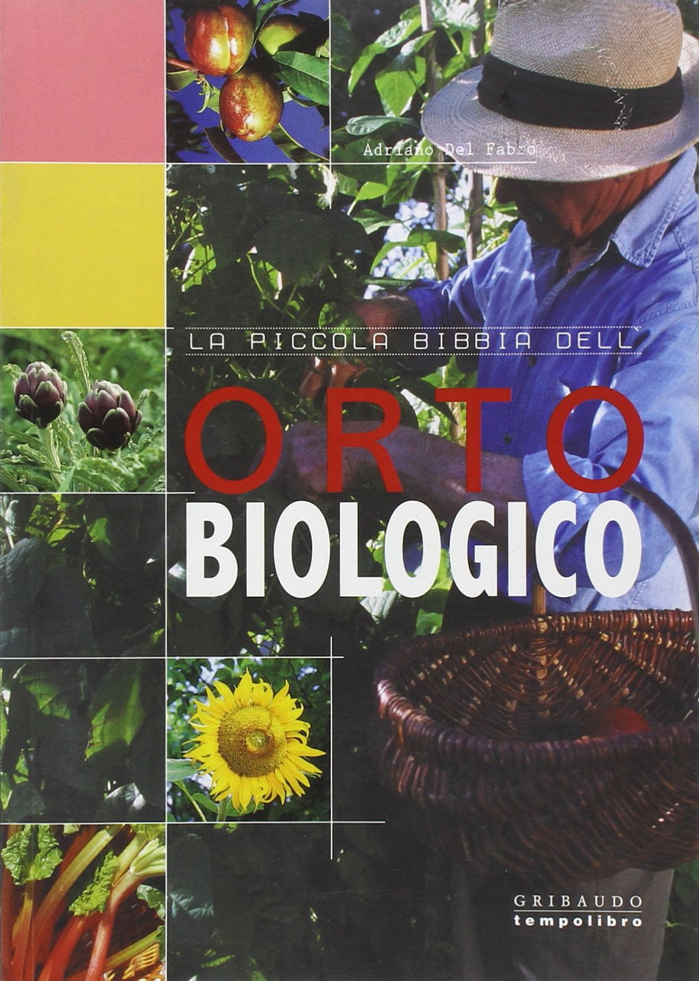 Orto biologico. Ediz. illustrata book