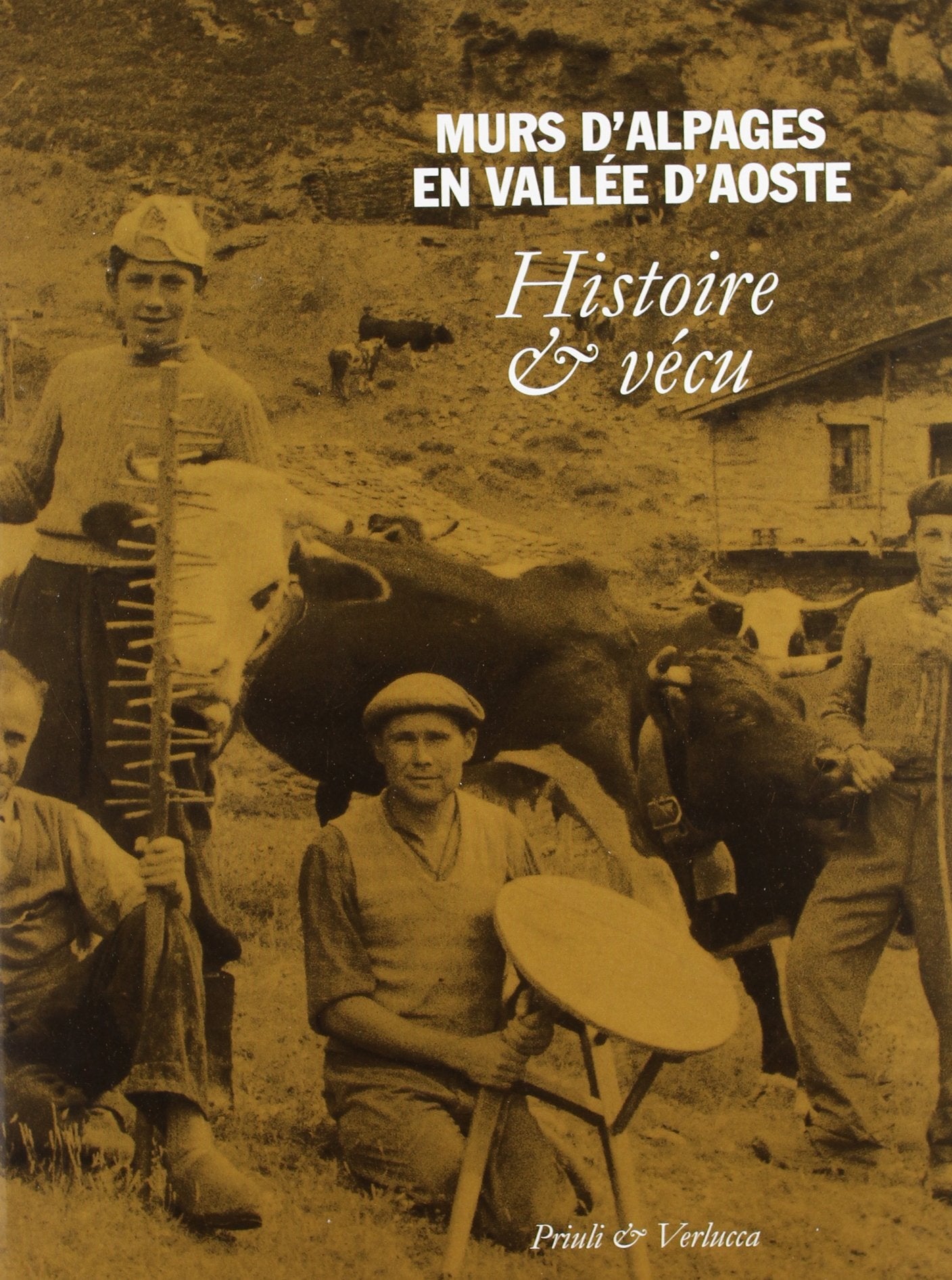 Murs d'Alpages en vallée d'Aosta. Histoire & vécu (Babelis turris) Leisure, Home & Garden