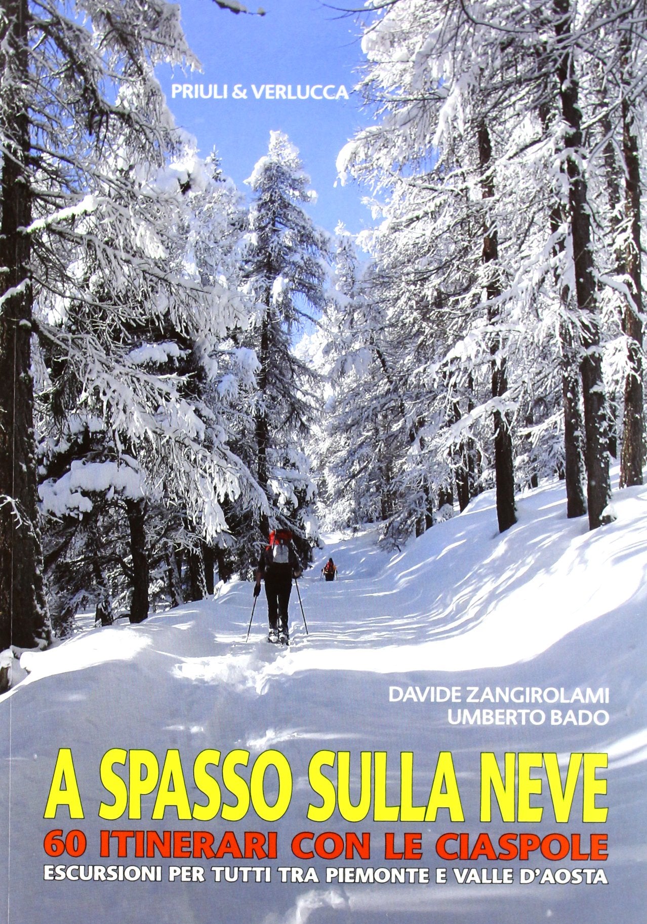 A spasso sulla neve. 60 itinerari con le ciaspole. Escursioni per tutti tra Piemonte e Valle d'Aosta Leisure, Home & Garden