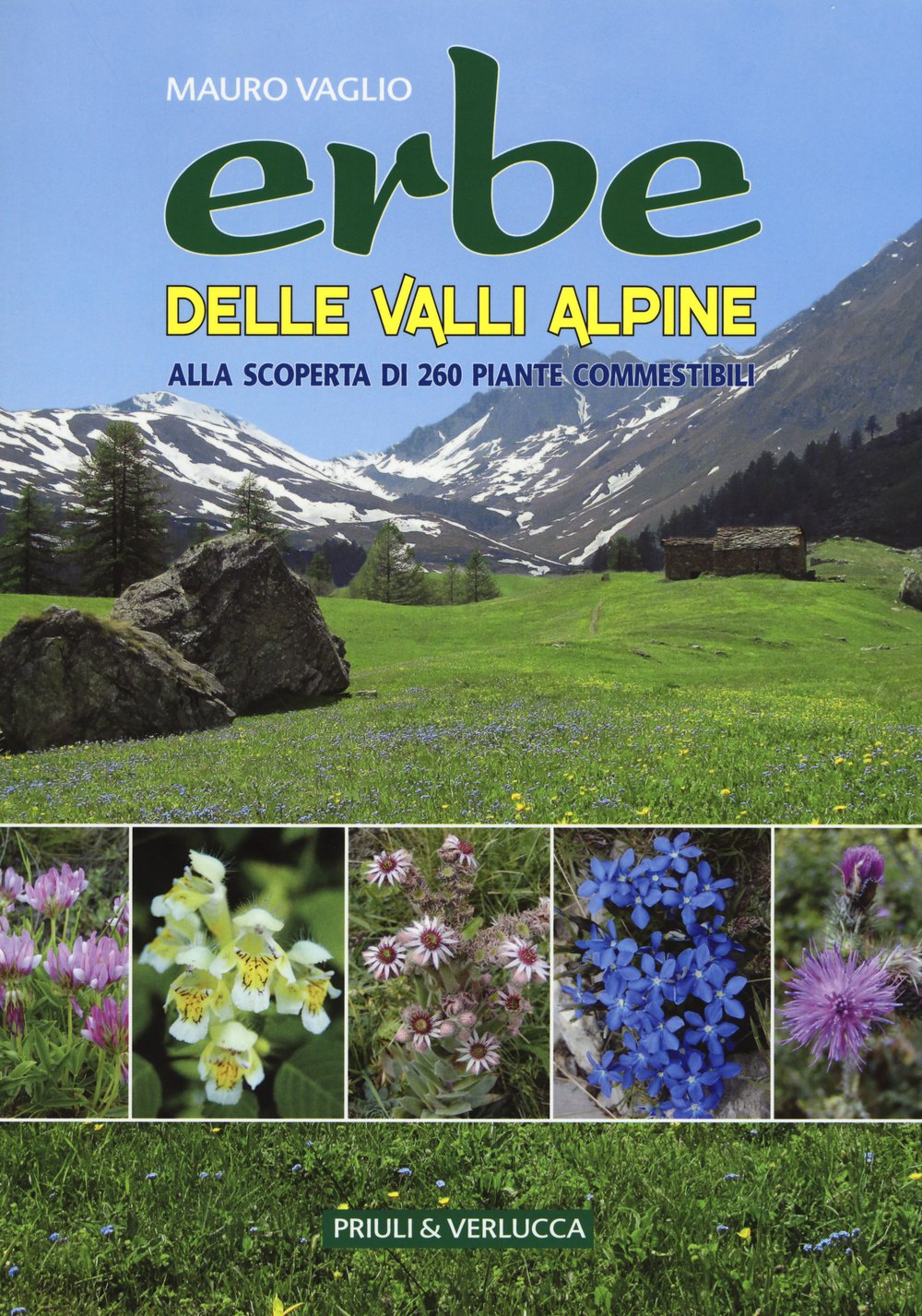 Erbe delle valli Alpine. Alla scoperta di 260 piante commestibili (Guide e manuali) Leisure, Home & Garden