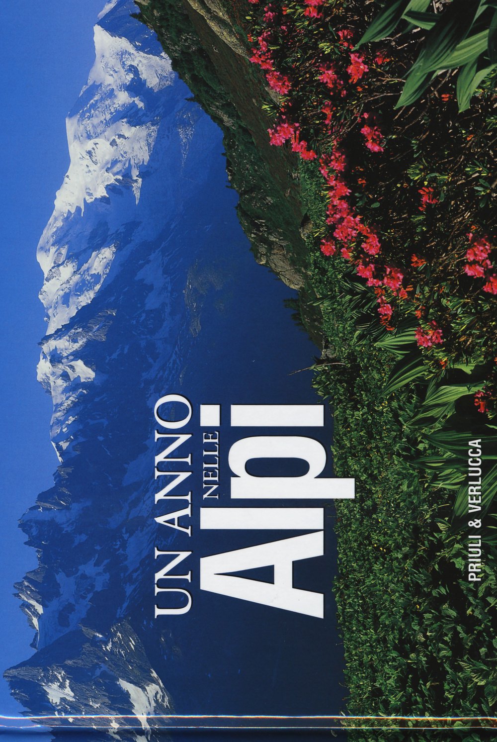 Un anno nelle Alpi book