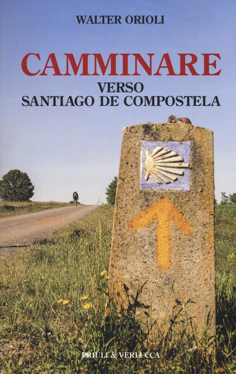 Camminare verso Santiago de Compostela book
