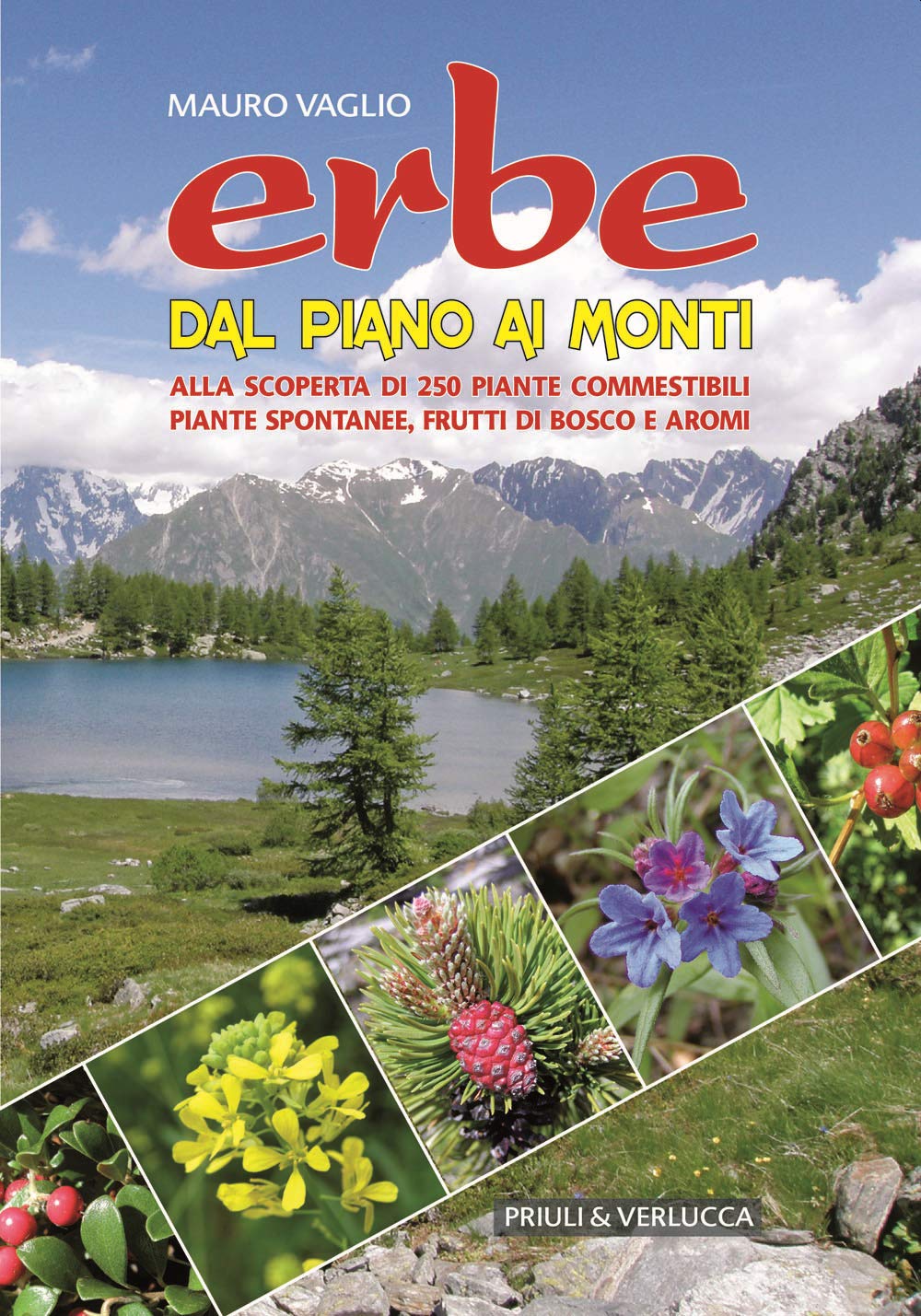 Erbe dal piano ai monti. Alla scoperta di 250 piante commestibili, piante spontanee, frutti di bosco e aromi (Guide e manuali) Leisure, Home & Garden
