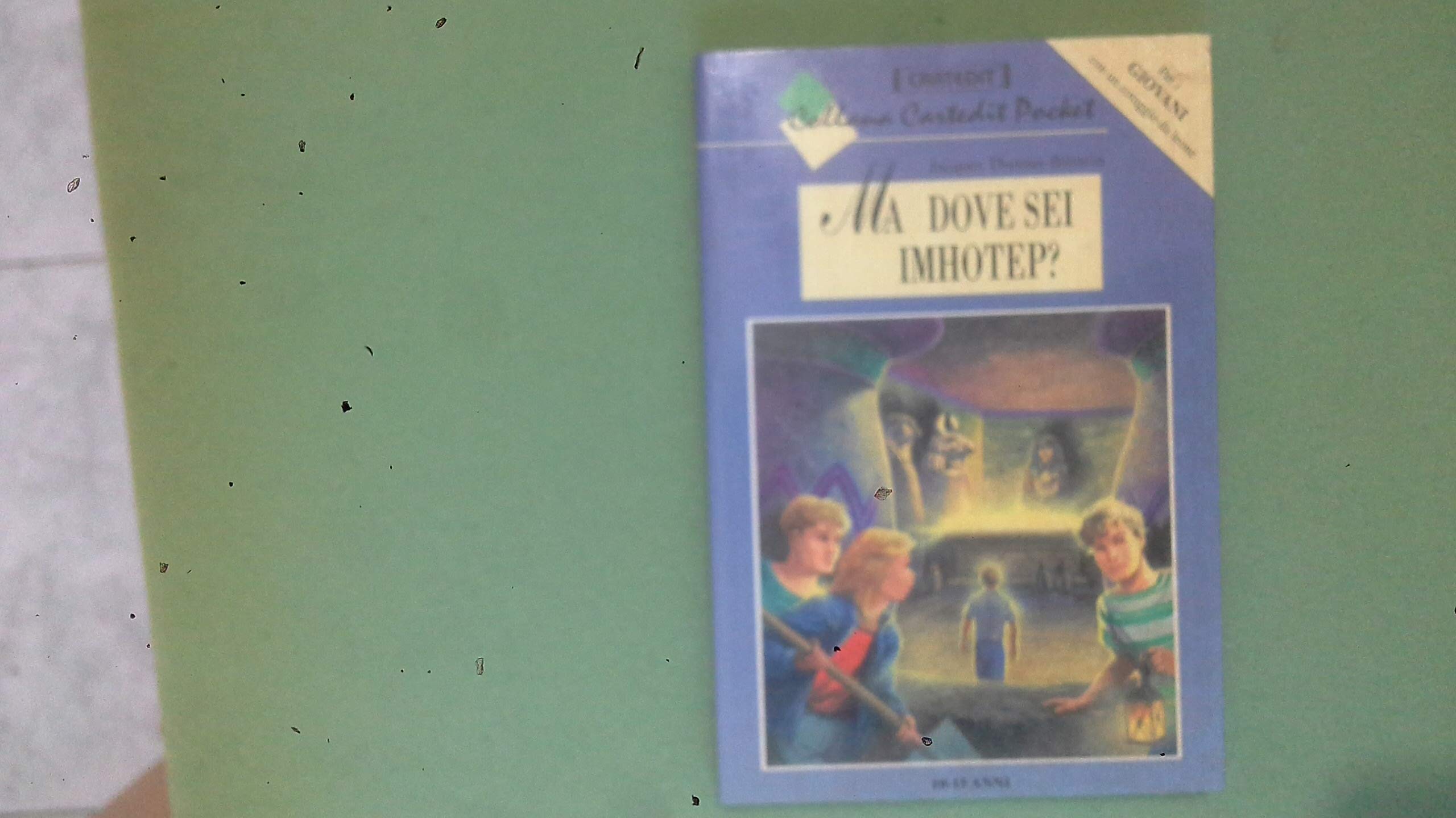 Il segreto di Belle-Fontaine book