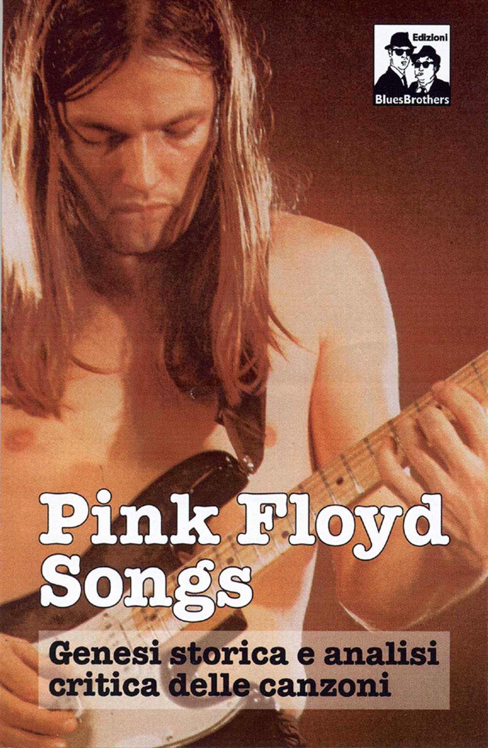 Pink Floyd Songs. Genesi storica e analisi critica delle canzoni book