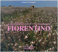 Il recupero di una città medievale fiorentina. Catalogo della mostra (Torremaggiore, 7 novembre 1998) (Fuori collana) Architecture