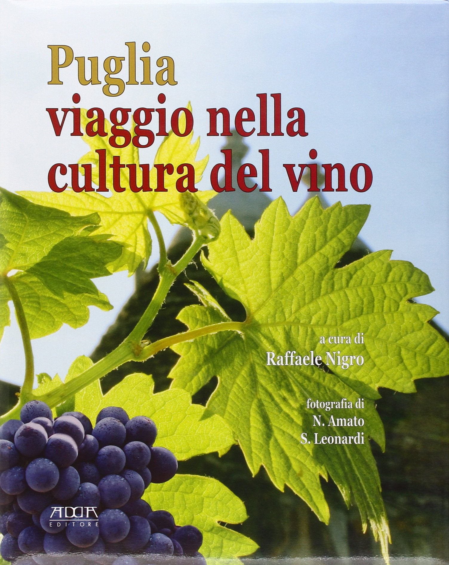Puglia. Viaggio nella cultura del vino book