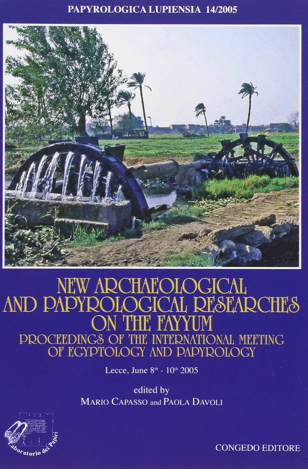 New archaeological and papyrological researches on the Fayyum. Proceedings of the International meeting of egyptology and papyrology. Ediz. illustrata book