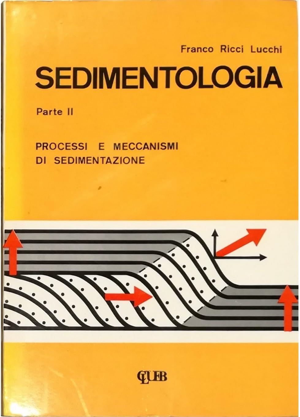 Sedimentologia. Processi e meccanismi di sedimentazione (Vol. 2) book
