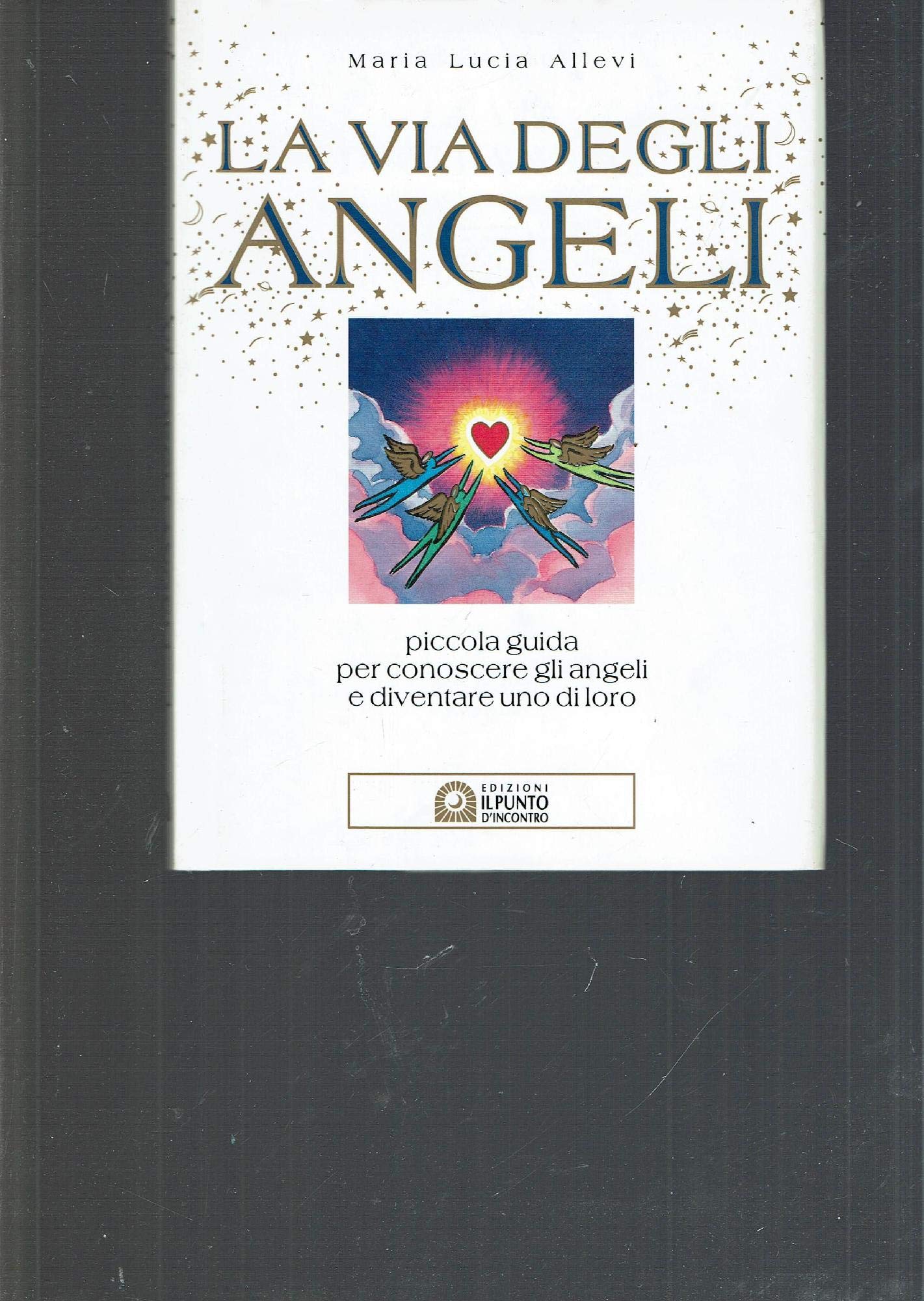 La via degli angeli. Piccola guida per conoscere gli angeli e diventare uno di loro book