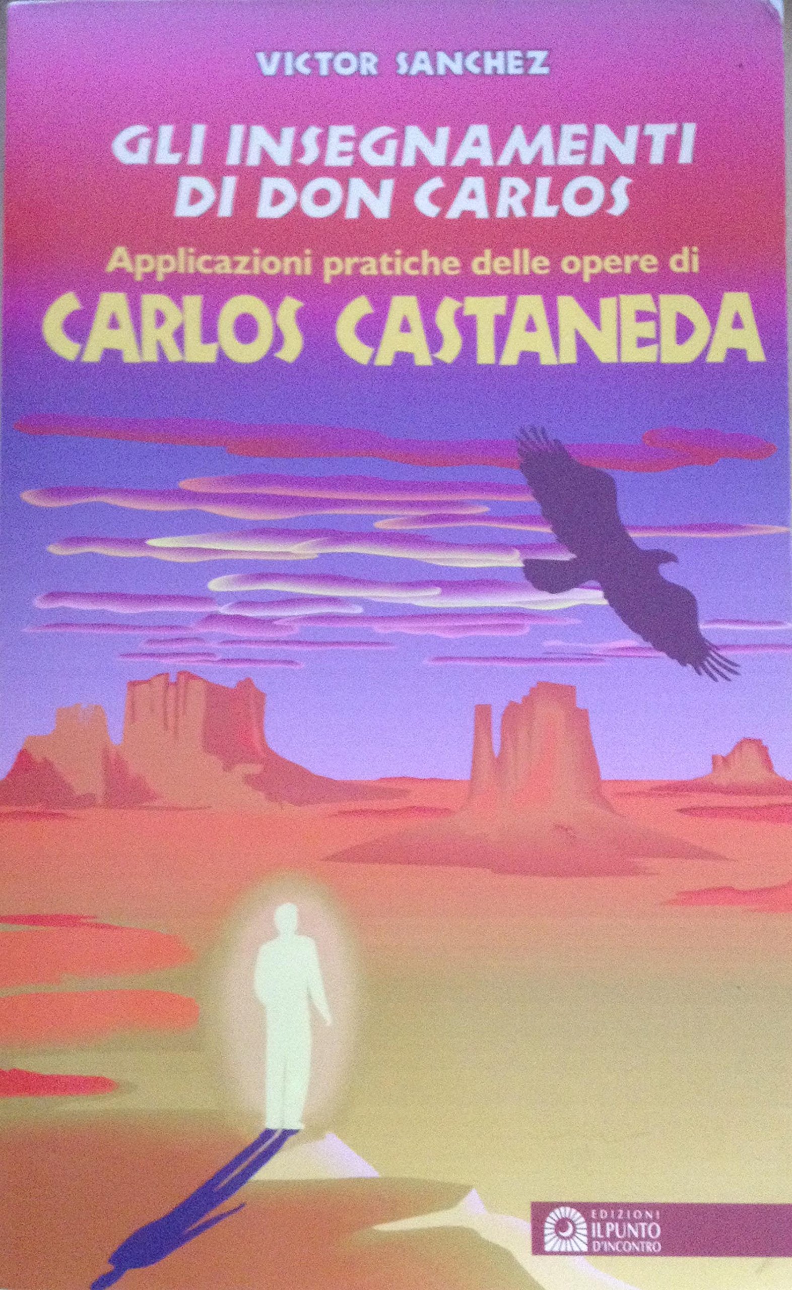 Gli insegnamenti di don Carlos. Applicazioni pratiche delle opere di Carlos Castaneda book