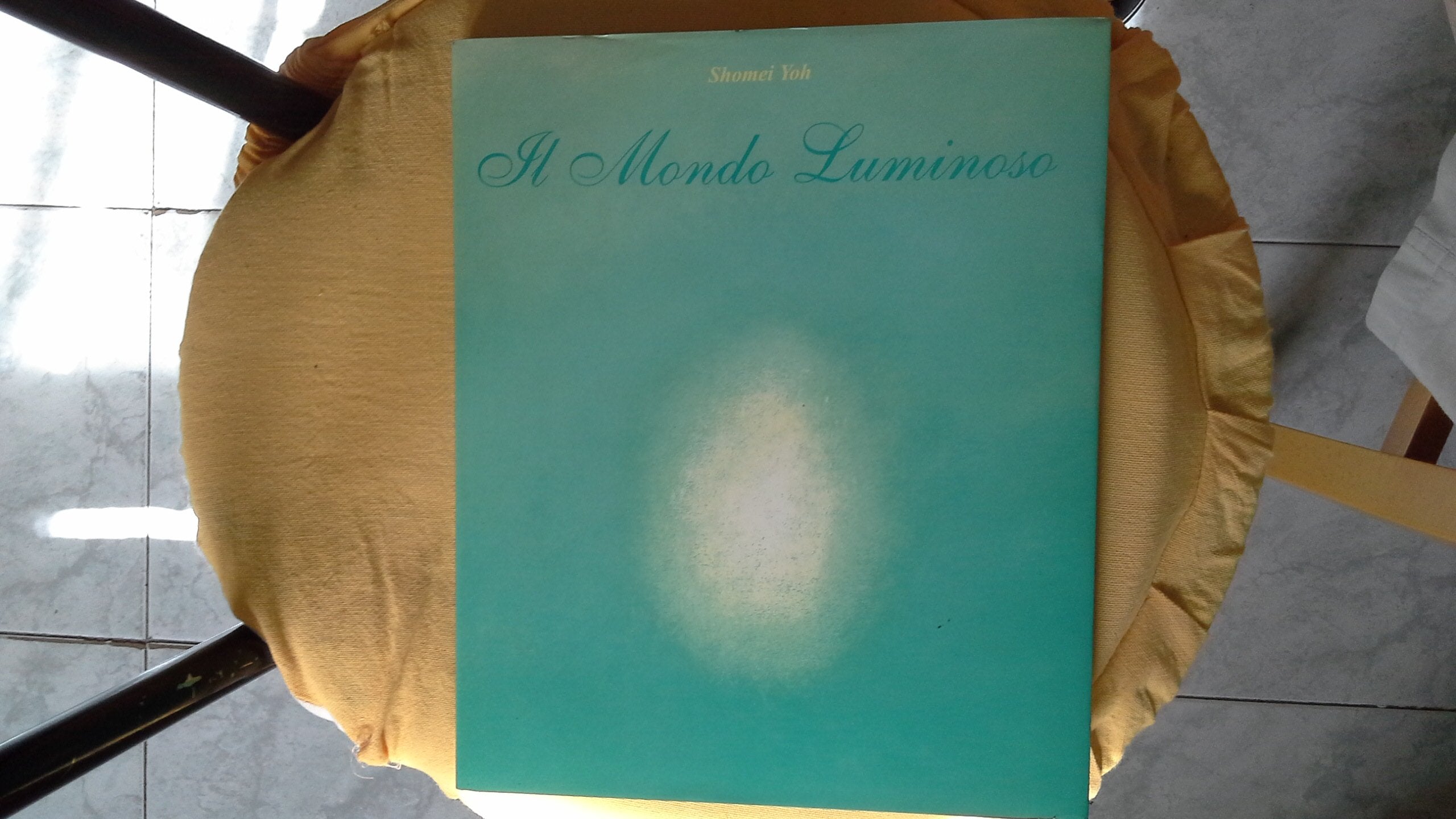 Il mondo luminoso (Semi di luce) Contemporary literature