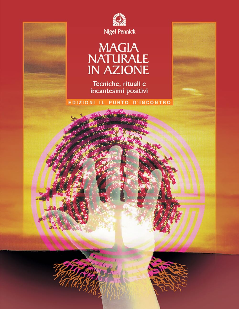 Magia naturale in azione. Tecniche, rituali e incantesimi positivi book
