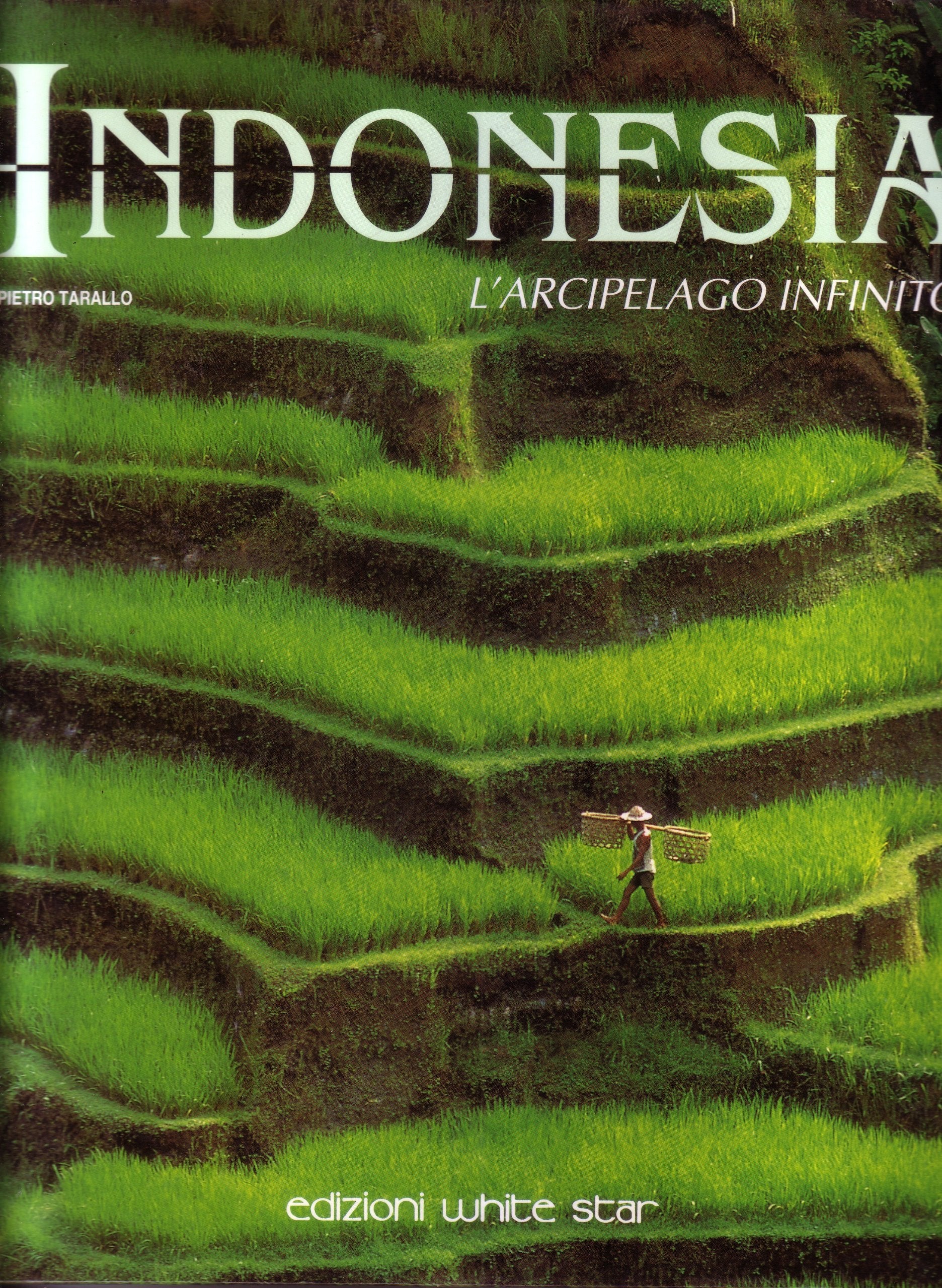 Indonesia. L'arcipelago infinito. Ediz. illustrata book