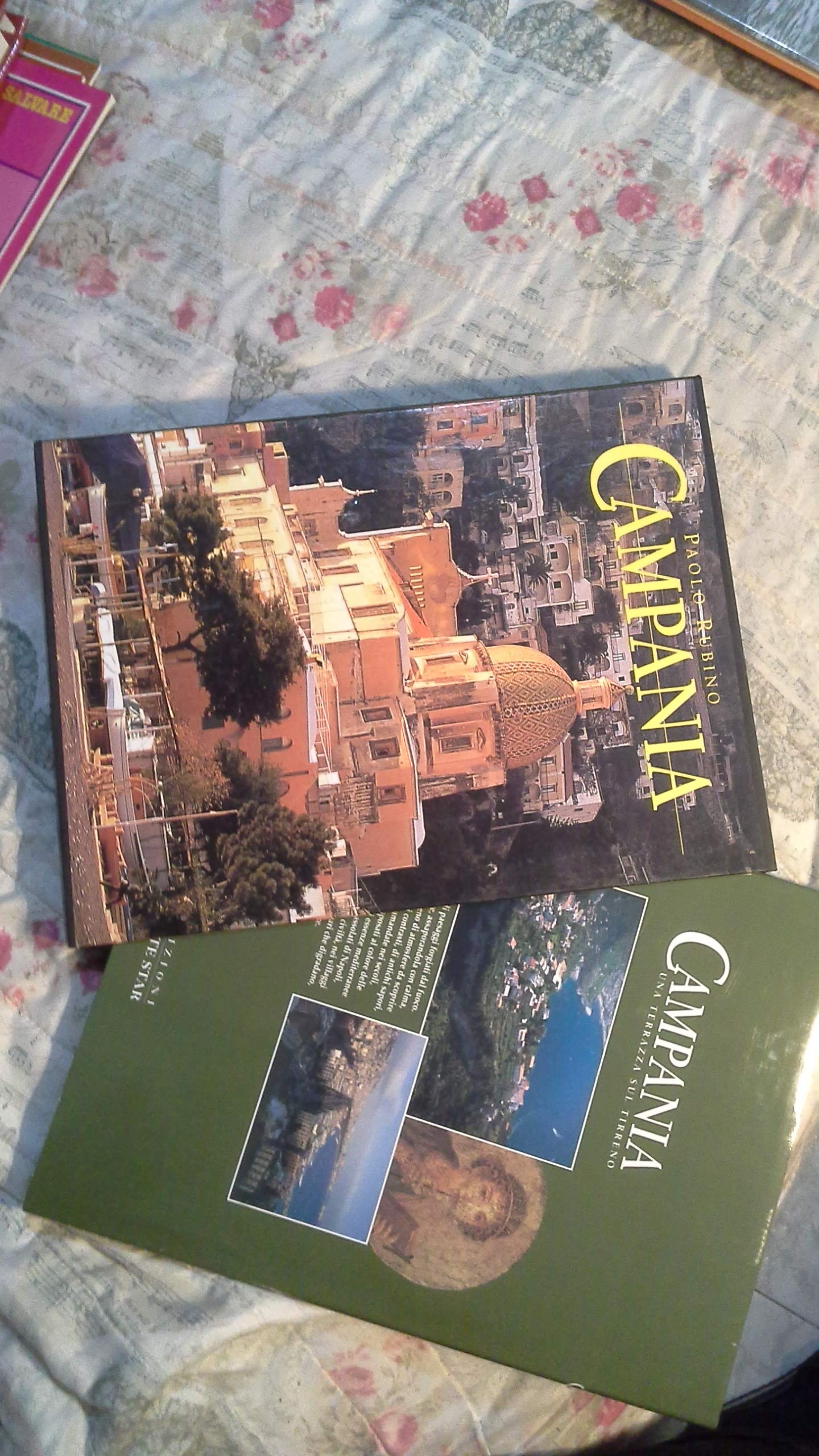 Campania. Ediz. illustrata (Incontri monografici) Leisure, Home & Garden