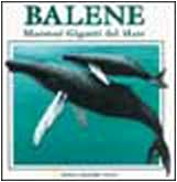 Balene. Maestosi giganti del mare. Libro pop-up. Ediz. illustrata (National Geographic Pop-up) Tiptoi & Games