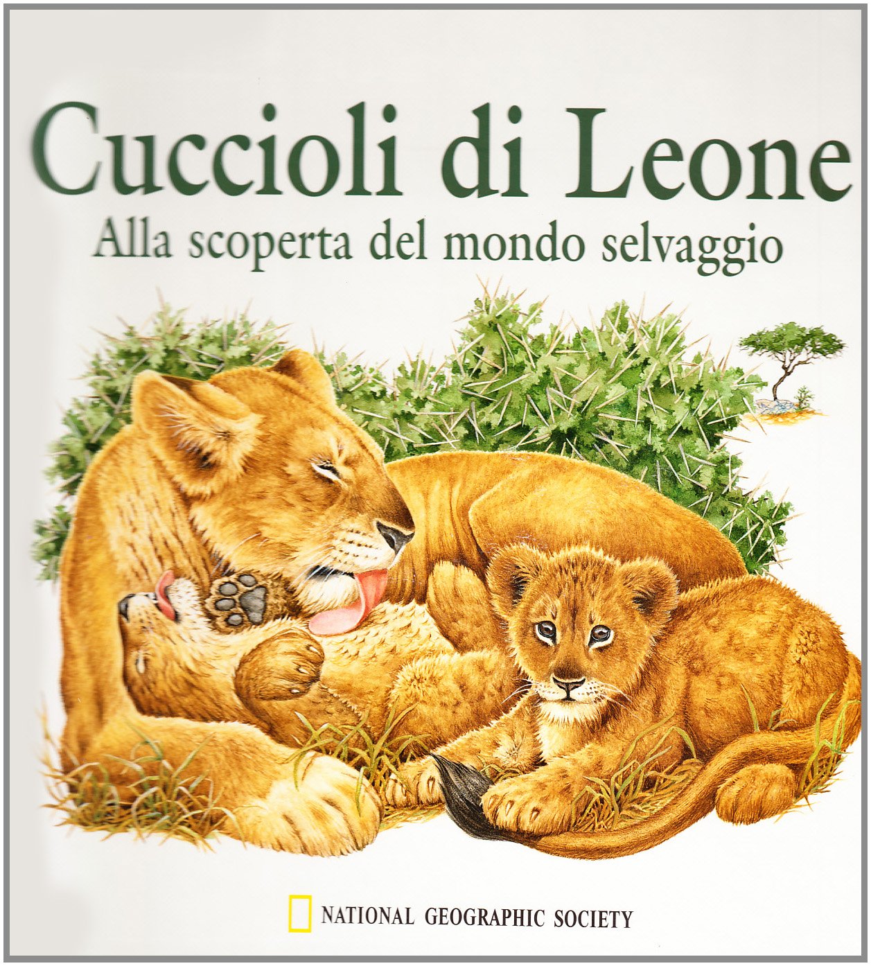 Cuccioli di leone. Alla scoperta del mondo selvaggio. Ediz. illustrata book