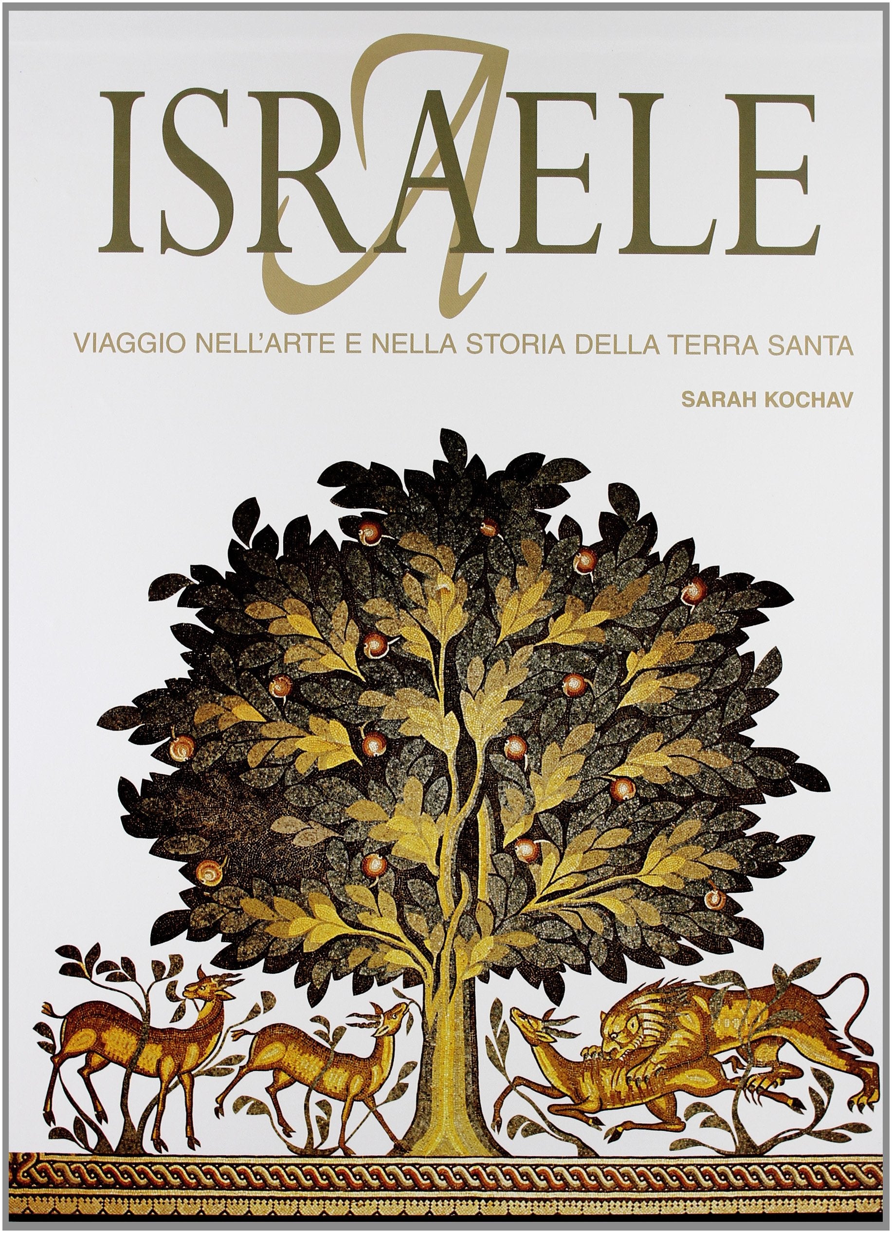 Israele. Viaggio nell'arte e nella storia della Terra Santa. Ediz. illustrata book