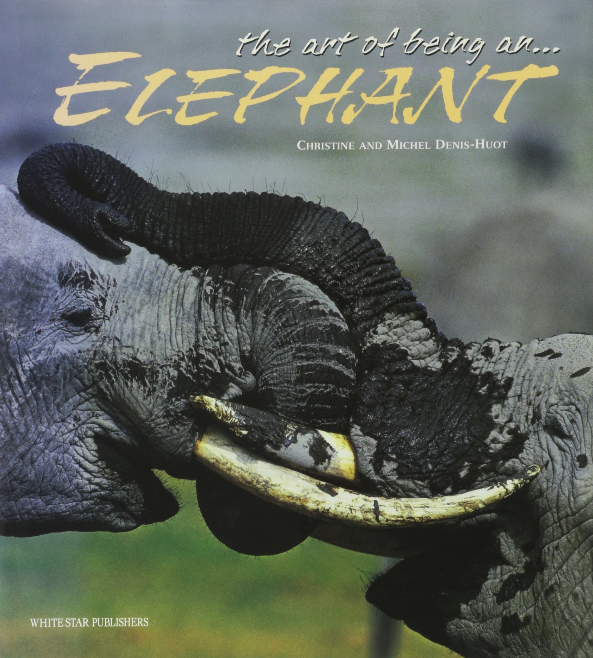 The Art of Being an Elephant (L' arte di essere) Travel