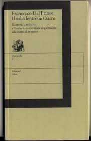 Il sole dentro le sbarre. Il cancro, la malattia e l'isolamento vissuti da un giornalista alla ricerca di se stesso (Autografie) Art & Literature