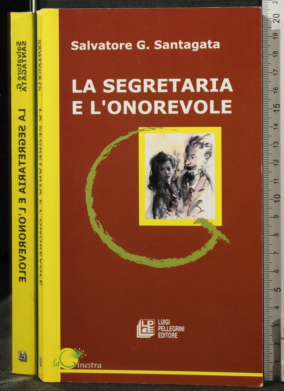 La segretaria e l'onorevole book