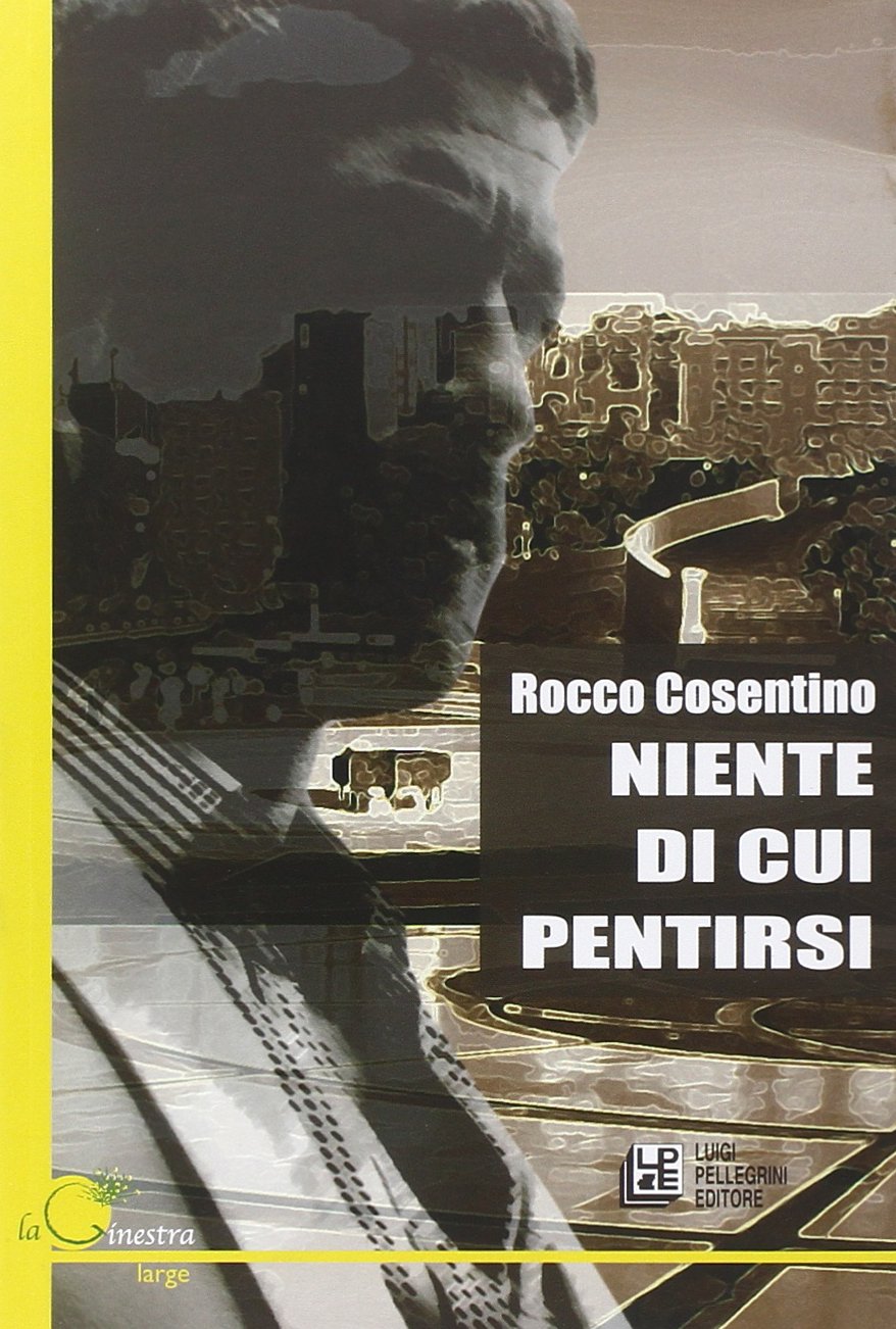 Niente di cui pentirsi (La ginestra. Large) Contemporary literature