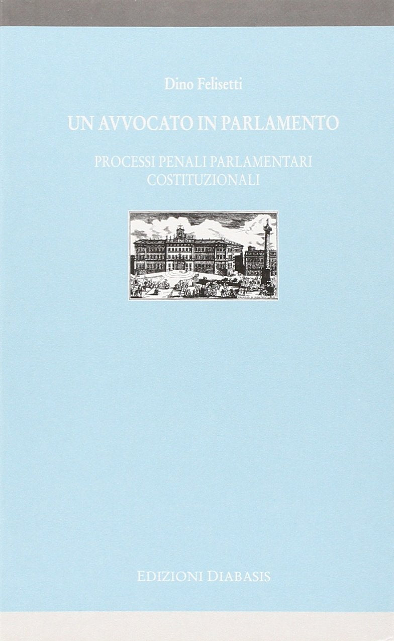Un avvocato in parlamento. Processi penali parlamentari costituzionali book