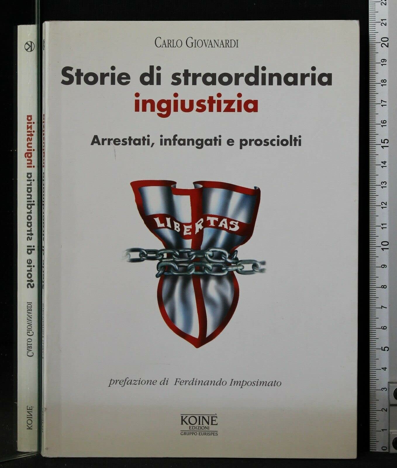 Storie di straordinaria ingiustizia book