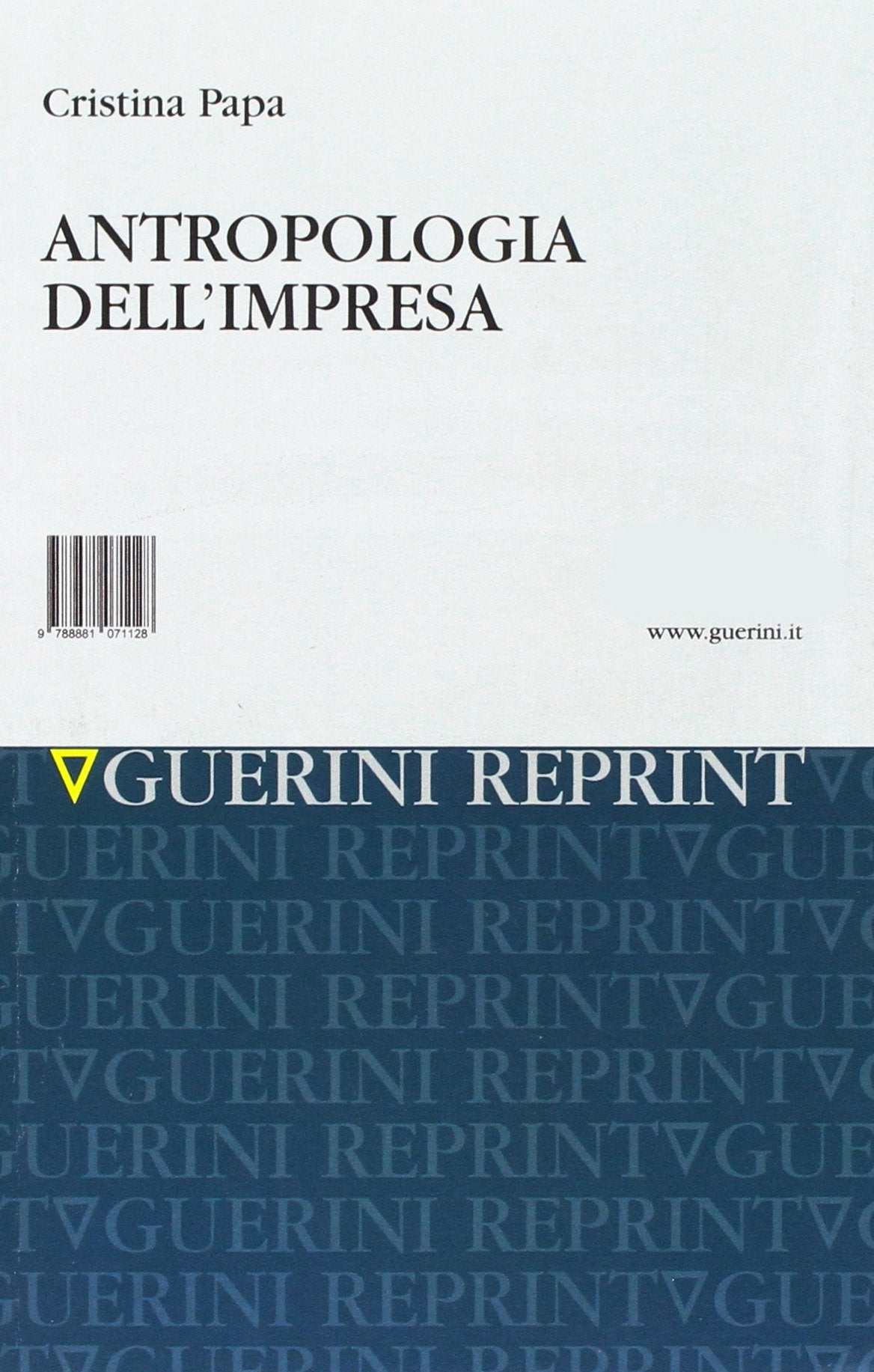 Antropologia dell'impresa book