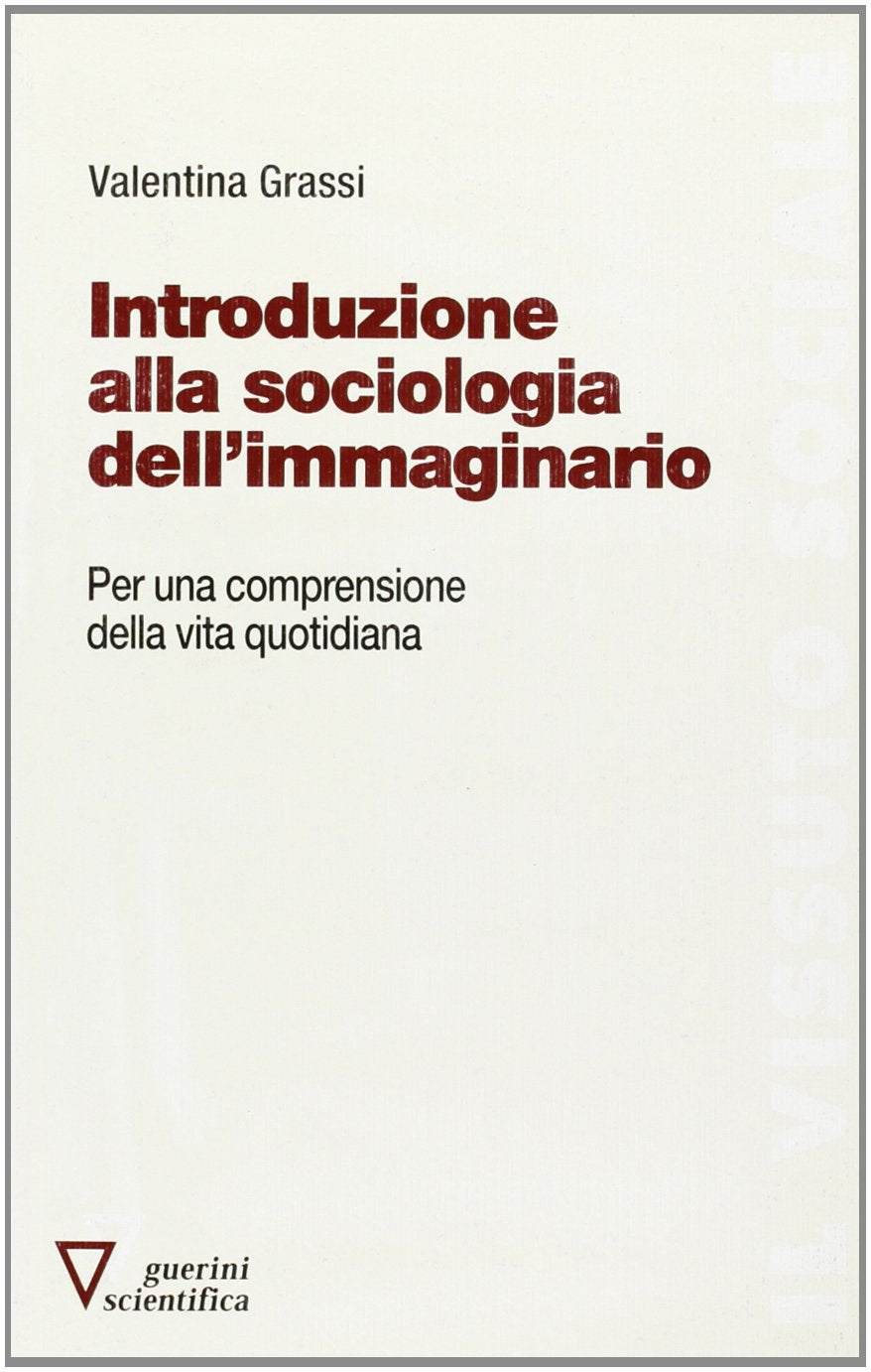 Introduzione alla sociologia dell'immaginario. Per una comprensione della vita quotidiana book