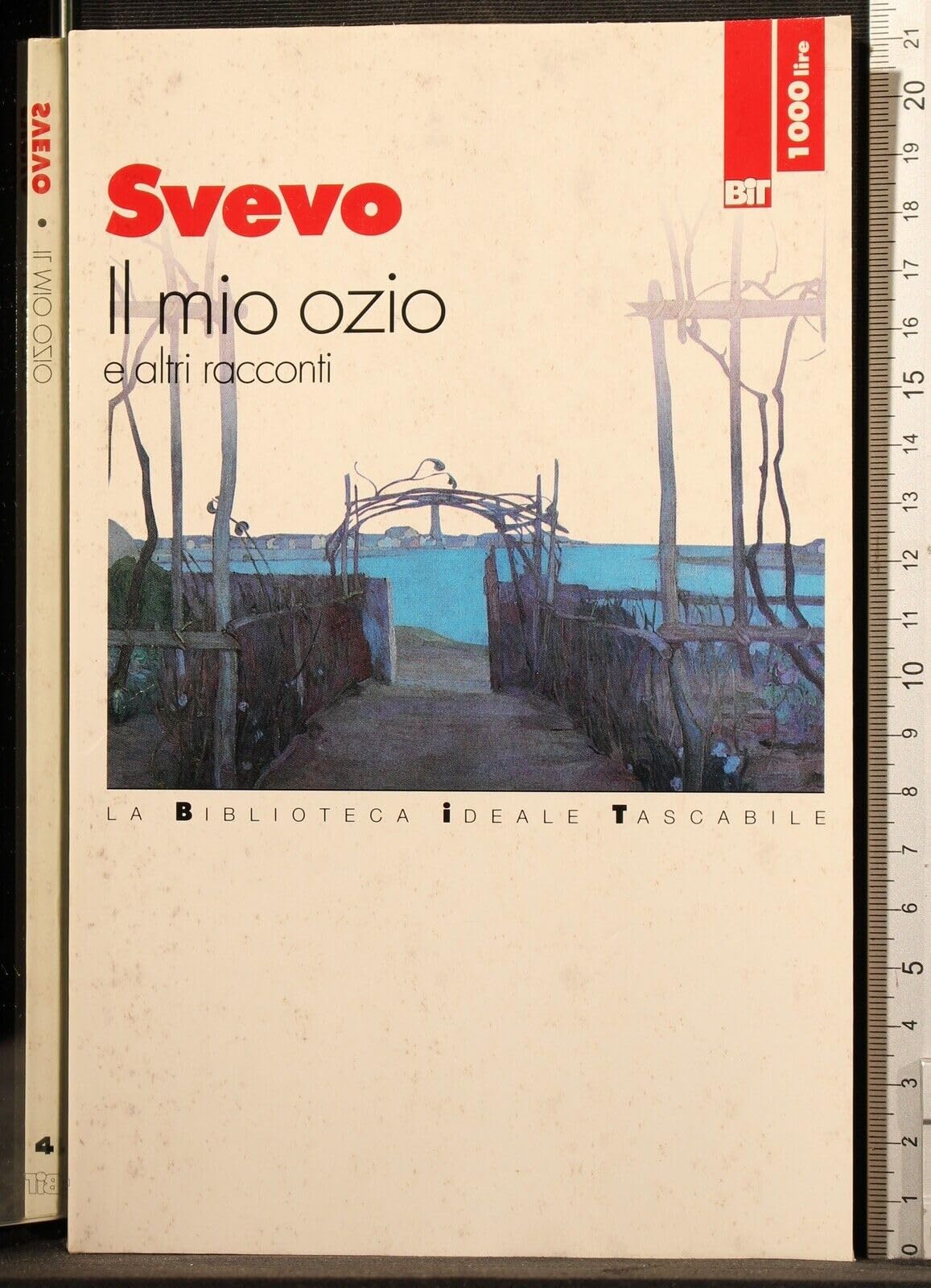 Il mio ozio e altri racconti (Biblioteca ideale tascabile) Essays & Short Stories
