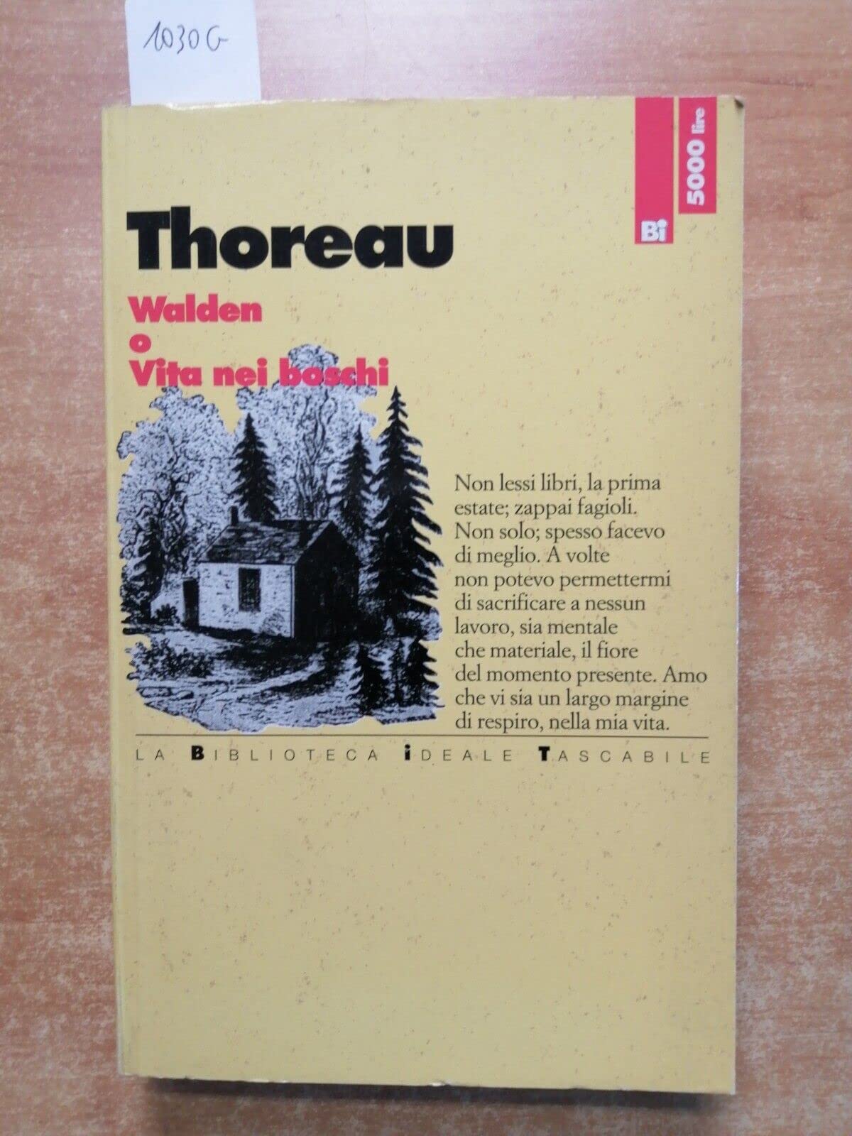 Walden o Vita nei boschi book