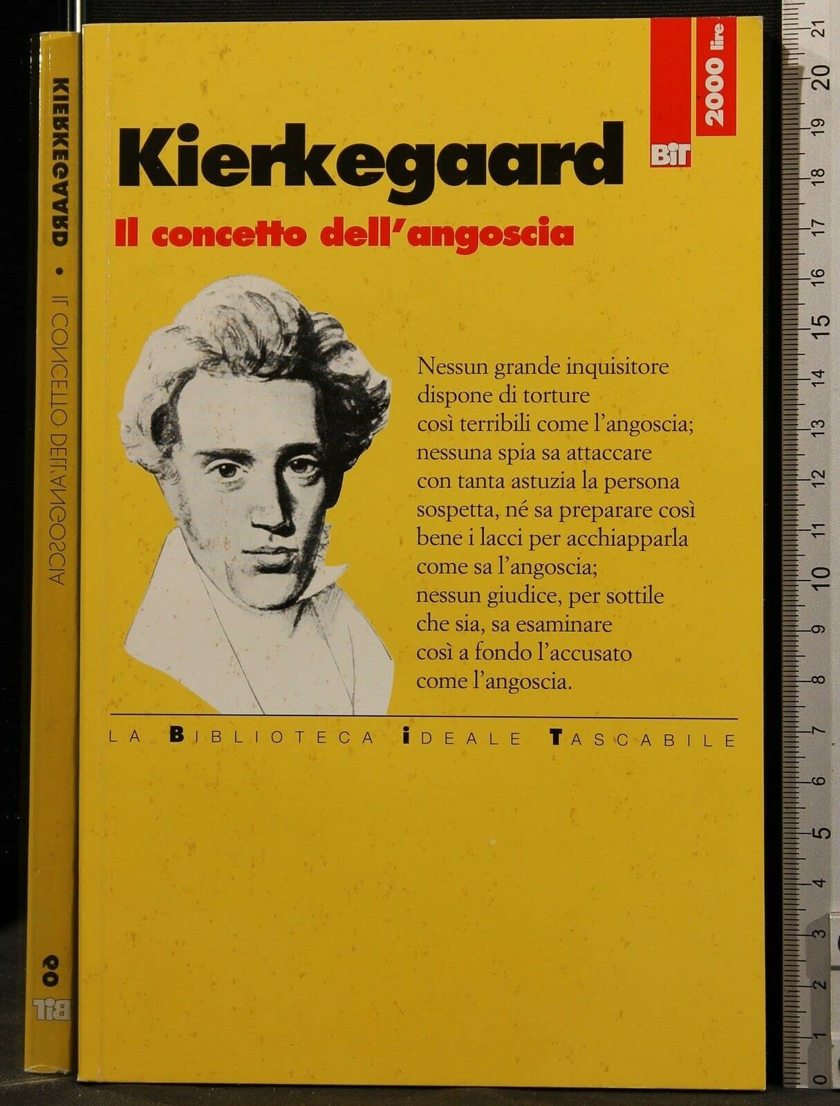 Il concetto dell'angoscia (Biblioteca ideale tascabile) Philosophy