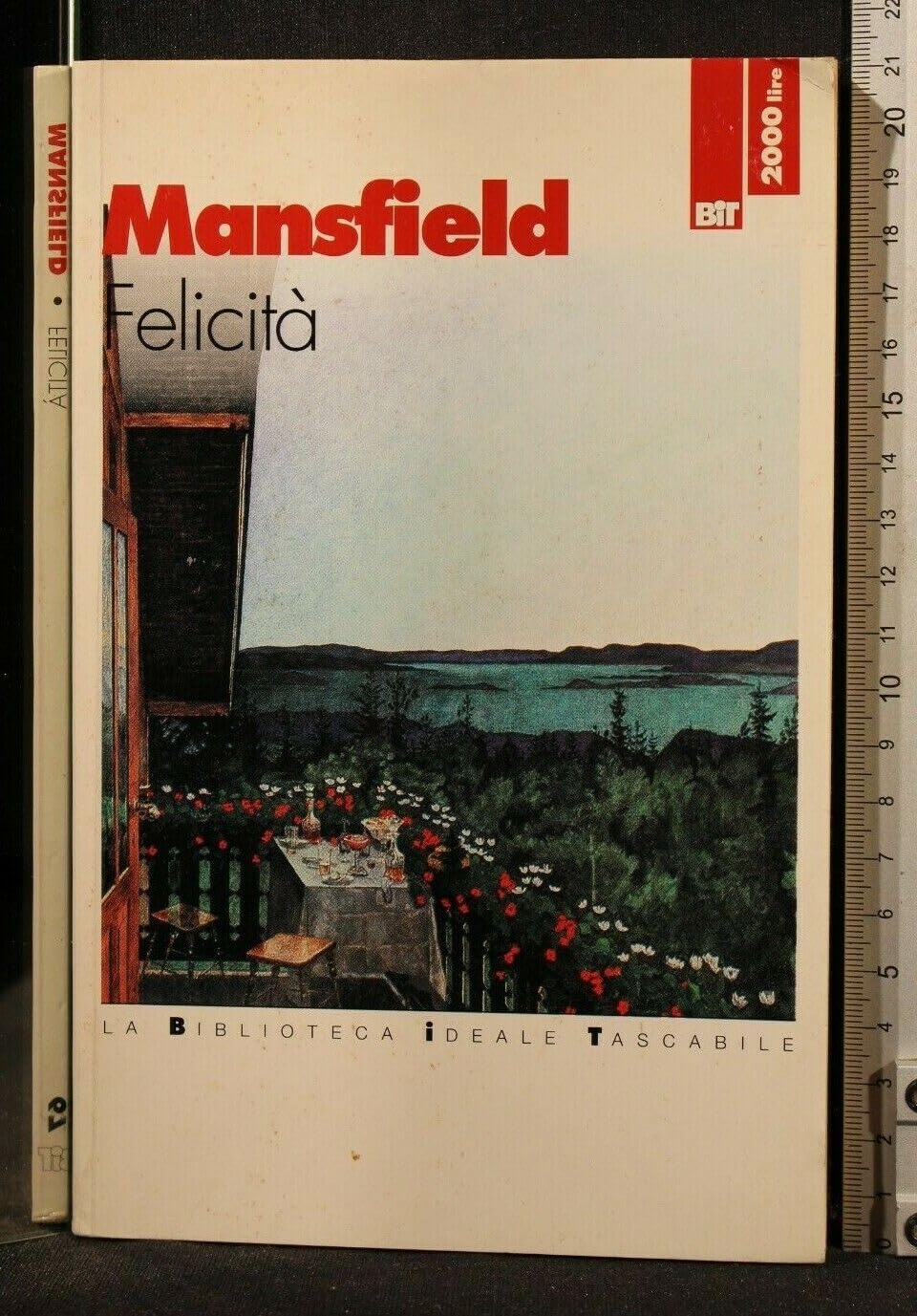 Felicità e altri racconti book