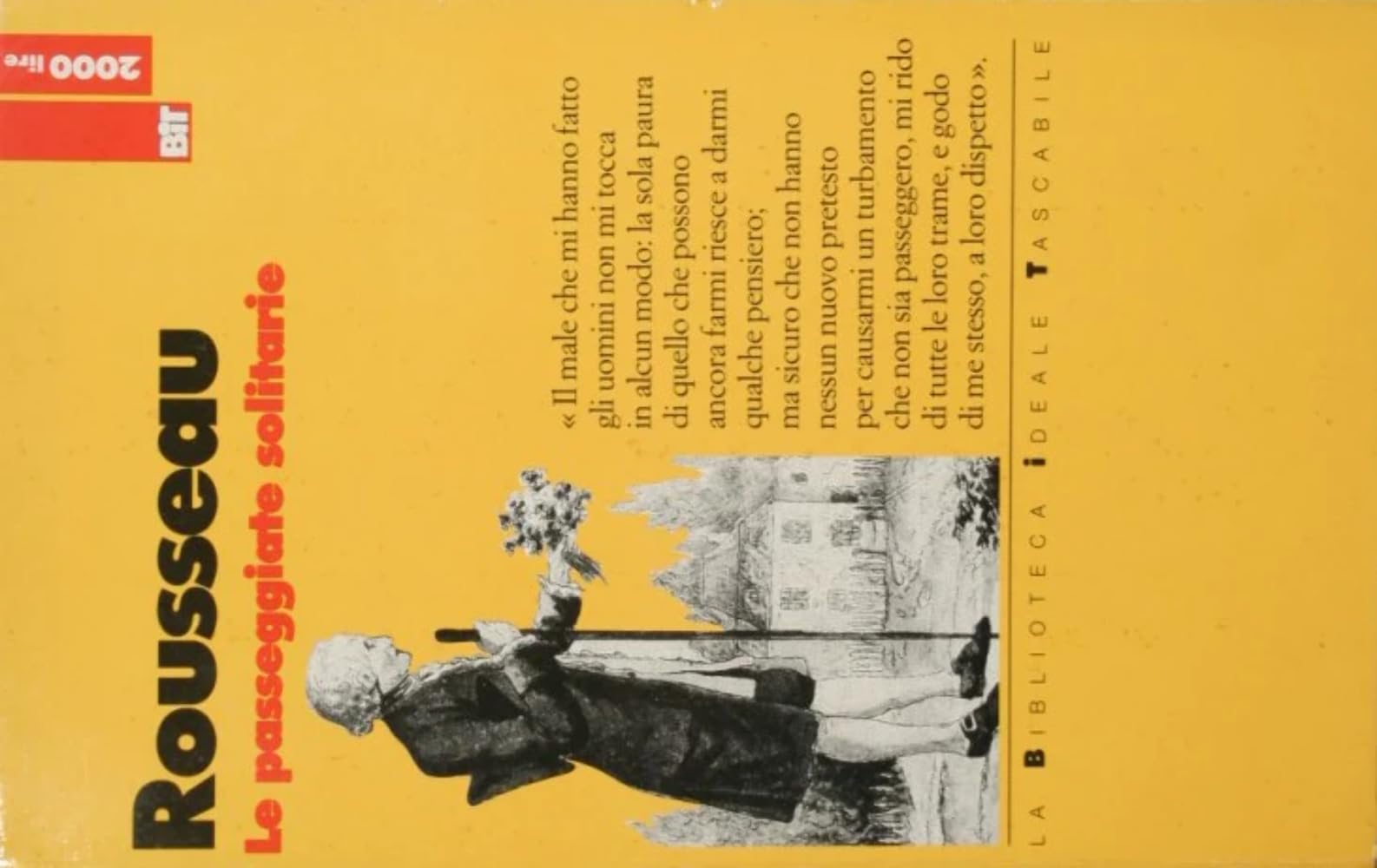Le passeggiate solitarie book